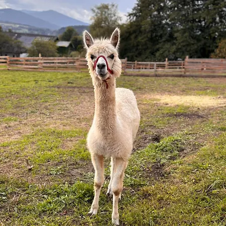דירה Rangetiner - Urlaub Am Bauernhof פלדקירשן אין קרנטן